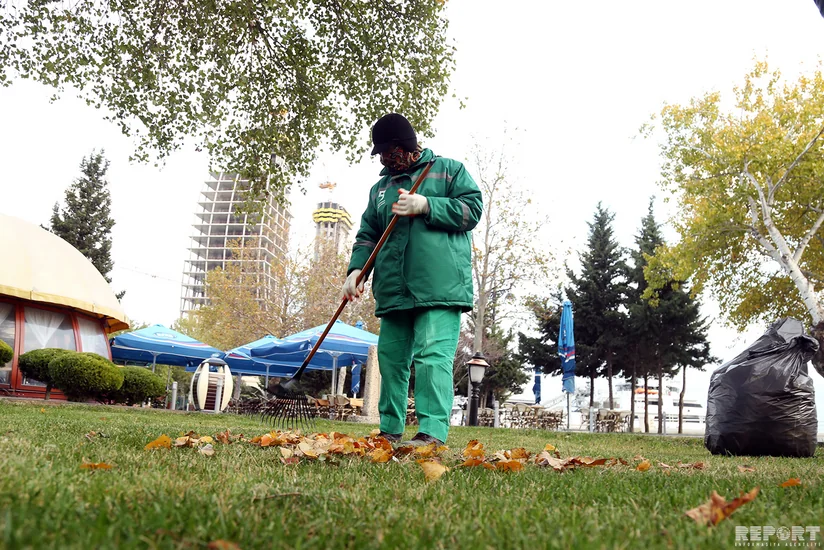 Ucuz çayxanalar da var... - BULVARDAN REPORTAJ