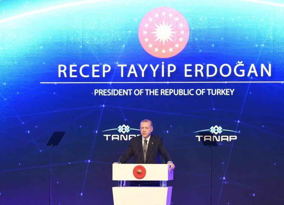 Президент Турции: Сегодня мы совершаем исторический шаг для нашего региона и страны