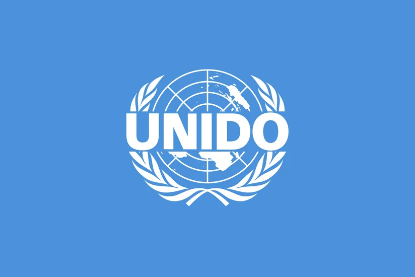UNIDO: Азербайджан является лидером по уровню дохода среди стран Южного Кавказа