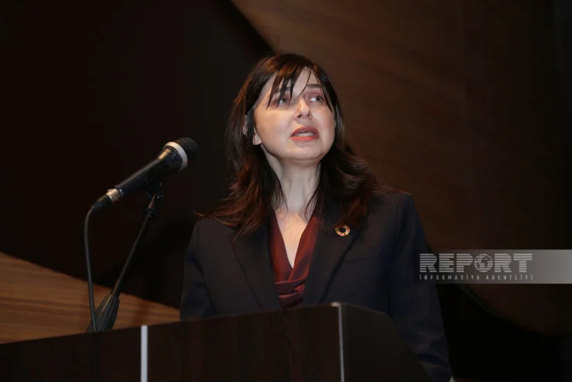 BMT: Azərbaycan miqrasiyanın tənzimlənməsində digər ölkələrə nümunədir