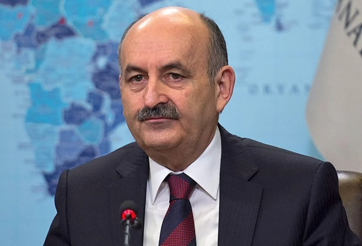 Türkiyədə bu günə kimi 33 nəfər donuz qripindən ölüb