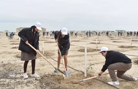 Yer Günü 2022” münasibətilə kütləvi ağacəkmə aksiyası keçirilib