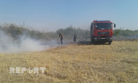Şabranda biçilmiş əkin sahələrində baş vermiş yanğın söndürülüb - YENİLƏNİB - VİDEO
