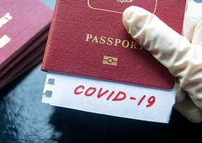 EC to present project for creating vaccination passports in EU