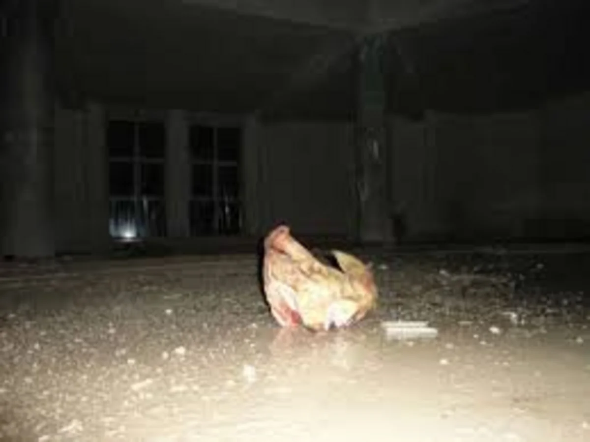 Avropada 356 məscid hücuma məruz qalıb