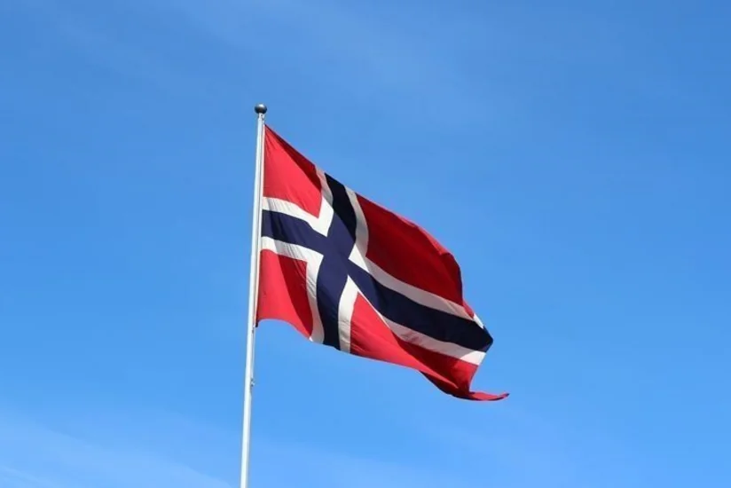 В Норвегии уволены десятки военнослужащих Королевской гвардии из-за наркотиков