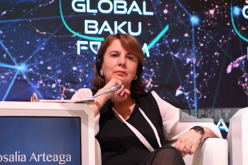 X Qlobal Bakı Forumunda miqrasiya məsələsi ilə bağlı müzakirələr keçirilib