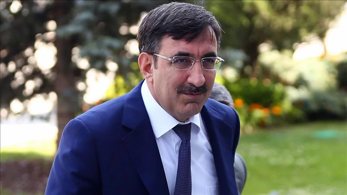Türkiyənin vitse-prezidenti: “Can qardaşımız Azərbaycanla əməkdaşlığımızı hər sahədə inkişaf etdirəcəyik”