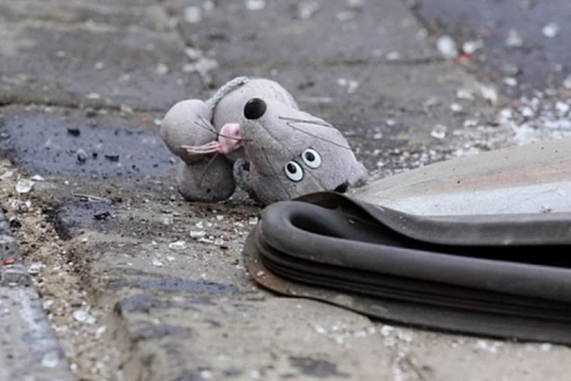 В Баку автомобиль сбил 11-летнюю девочку