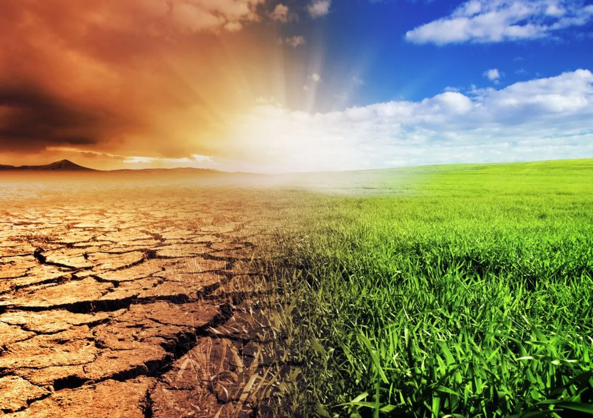 Kelly Willis: Climate change 'greatest threat facing public health worldwide'