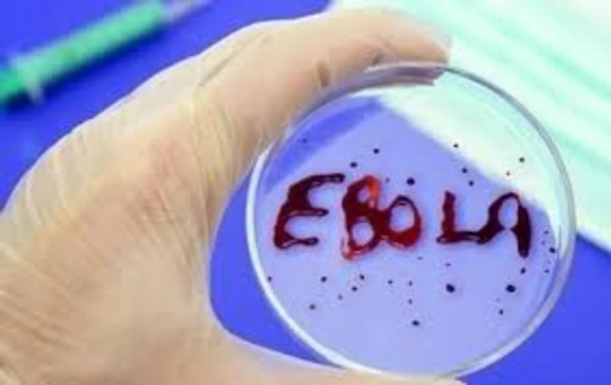 Ebolaya qarşı təsirli vaksin tapıldı