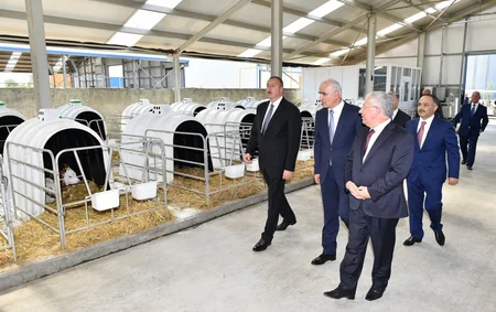President Ilham Aliyev inaugurated Yalama Agropark