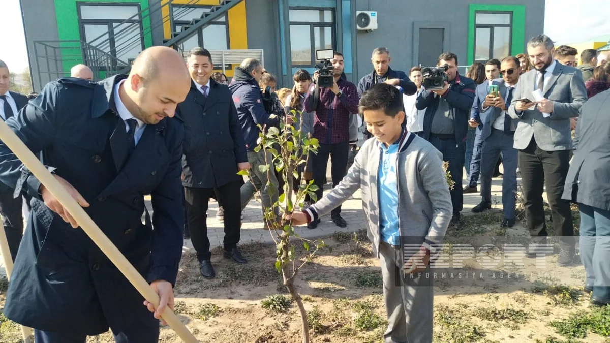 Zəfər Günü ilə bağlı Ağalı kəndində ağacəkmə aksiyası keçirilib