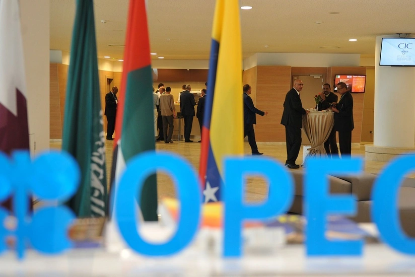 OPEC+ may delay signing of declaration on cooperation