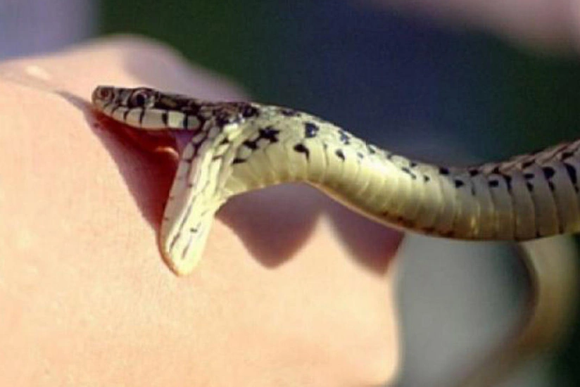 İmişlidə 8 yaşlı uşağı ilan sancıb