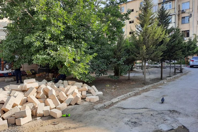 Nizami rayonunda ağacların kəsilərək tikinti aparılmasının qarşısı alınıb