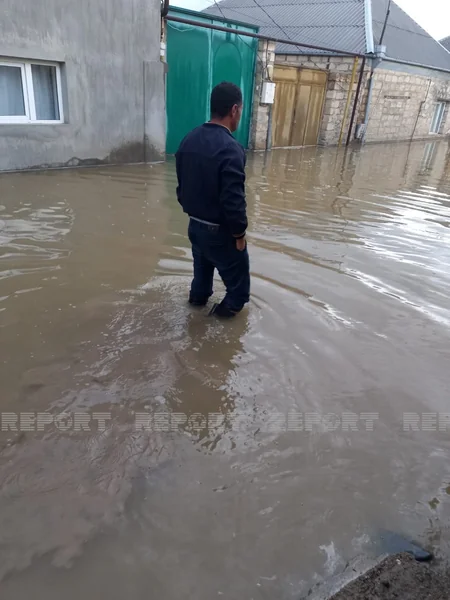 Gəncədə yağış suları evlərə dolub - VİDEO