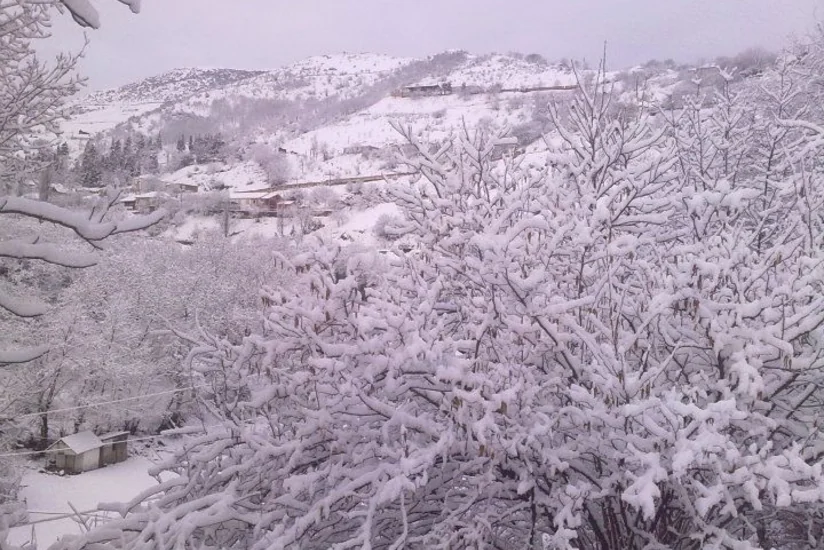 Lənkəran-Astara bölgəsinə intensiv yağış, Yardımlıya qar yağıb - FAKTİKİ HAVA