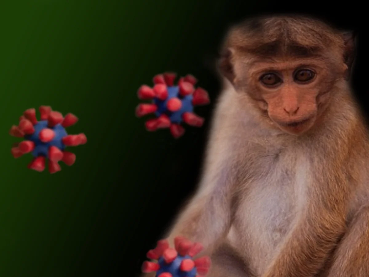 Portugal records over 150 monkeypox cases