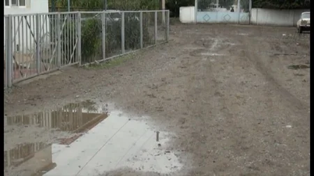 Sabirabadda yol problemi - sakinlər şikayətlənir, bələdiyyə vəd verir