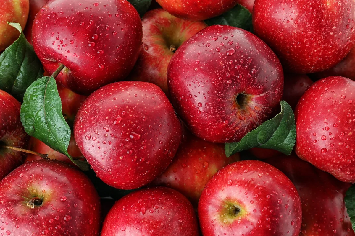 Azerbaijan begins apple exports to Guinea and Libya