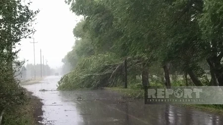 Qasırğa Ağdamda ciddi fəsadlar törədib