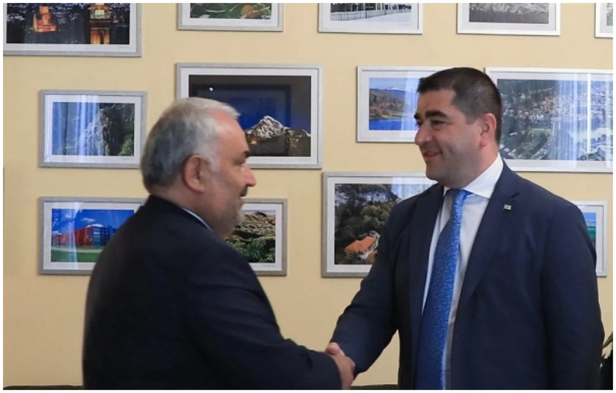 Georgia attaches great importance to trilateral cooperation with Turkiye and Azerbaijan, says speaker