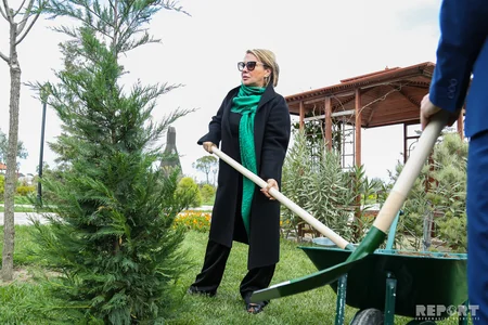 BMT SOCAR-a 4 hibrid enerji sərfəli avtomobil verib