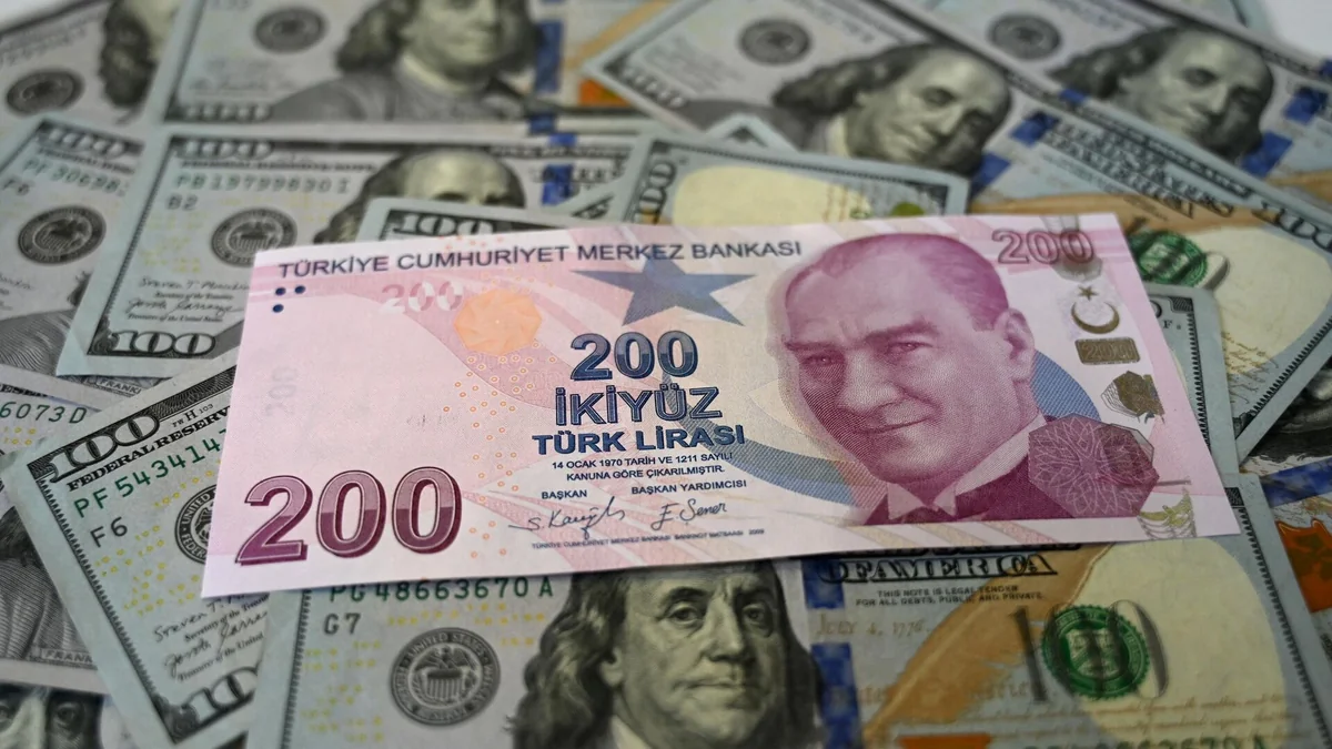 Turkish lira renews historical minimum to US dollar