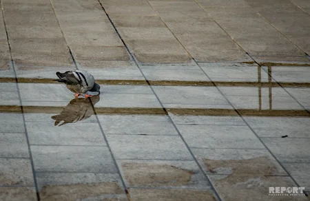 Blue Caspian of the White City - PHOTOREPORT