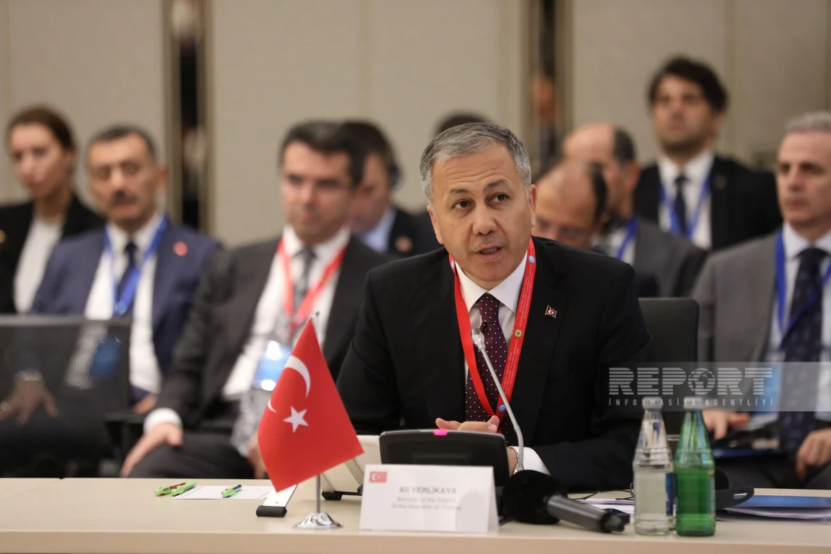 Türkiye will never forget OTS member states' help in difficult days - Ali Yerlikaya