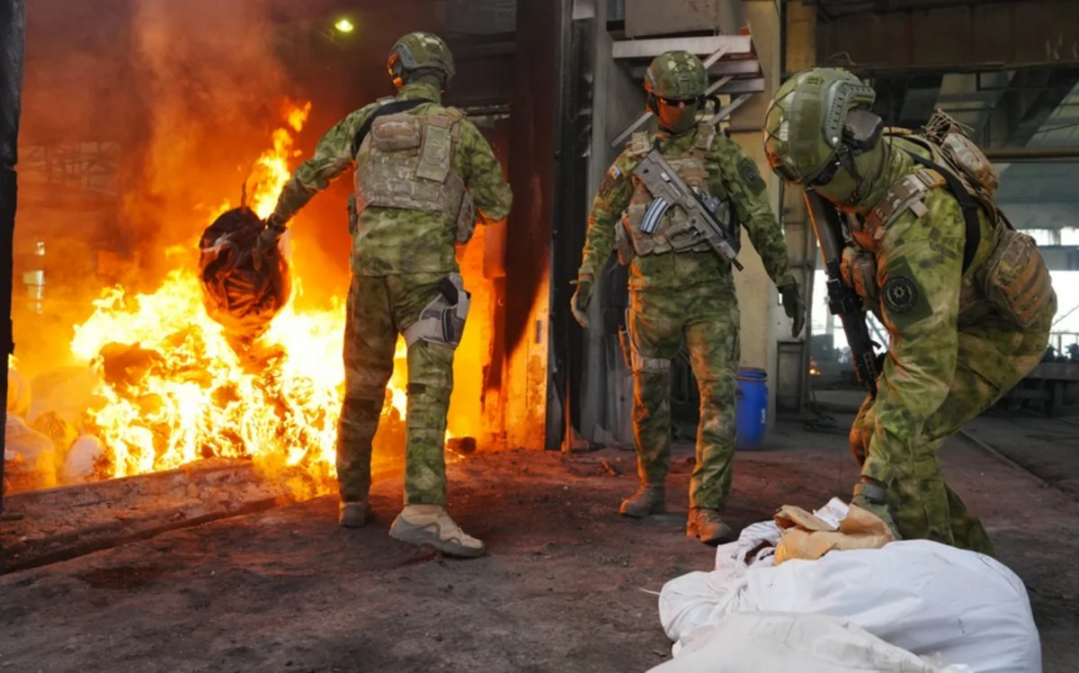 Azərbaycanda 25 cinayət işi üzrə 858 kiloqramdan çox narkotik məhv edilib