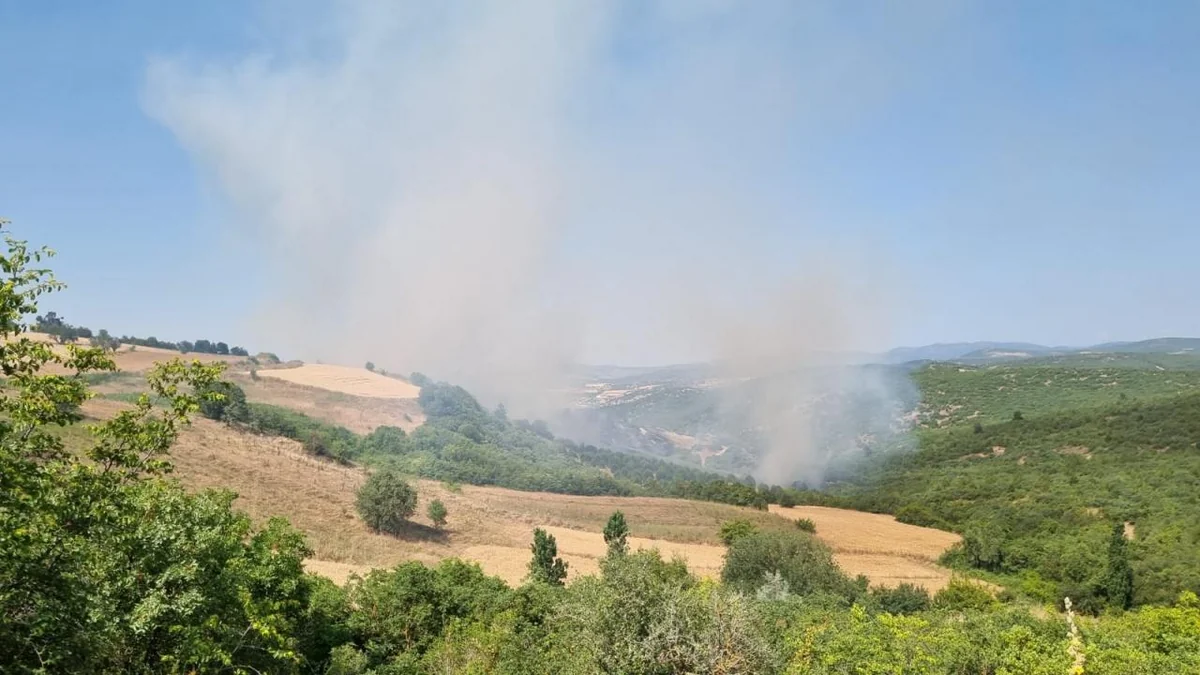 Balıkəsirdə meşədə yanğın başlayıb