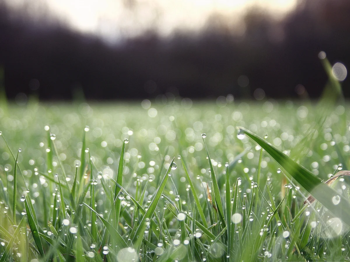 Sabaha olan hava proqnozu açıqlanıb