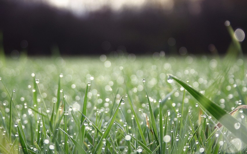 Ecologists predict mainly rainless weather in Baku