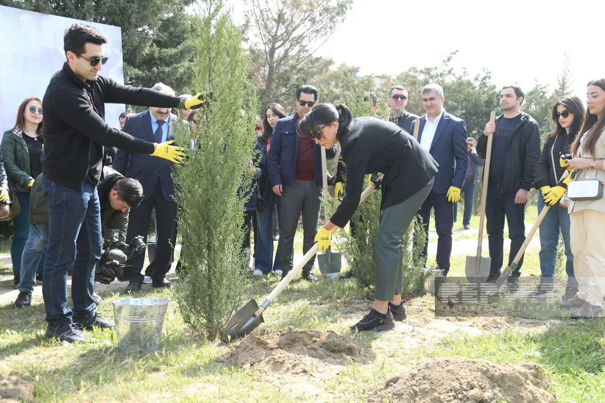 Heydər Əliyevin 100 illiyinə həsr olunan ağacəkmə aksiyası keçirilib