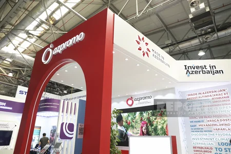 Bu gün Bakı Enerji Həftəsi başlayır