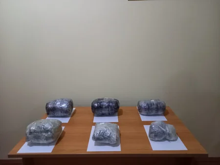 İrandan Azərbaycana 53 kq-a yaxın narkotikin gətirilməsinin qarşısı alınıb