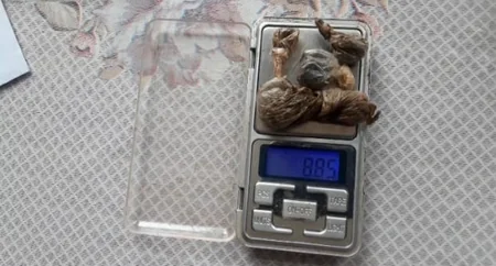 Bərdədə patı əməliyyatı: saxlanılanlar var