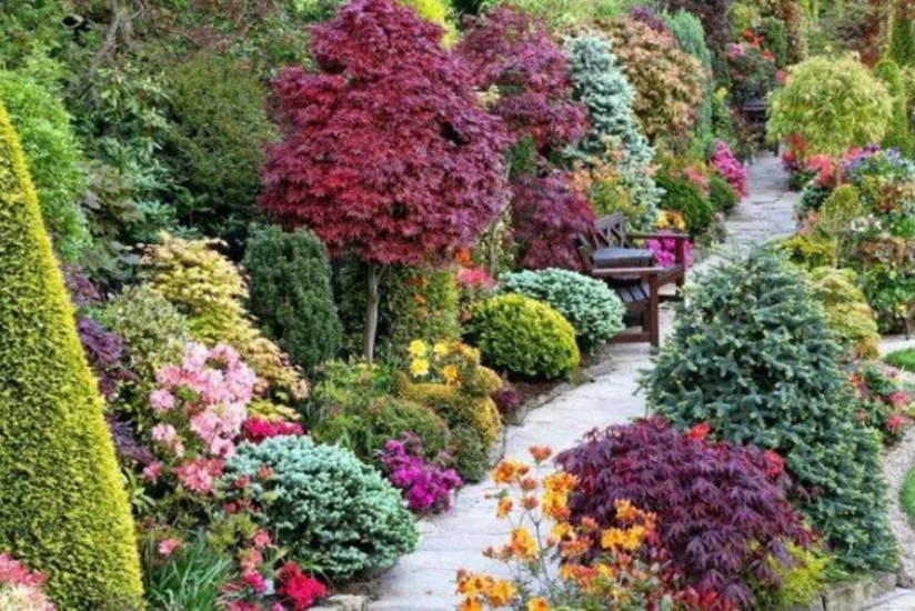 Azerbaijan's imports of Turkish ornamental plants surge 8% in 2023