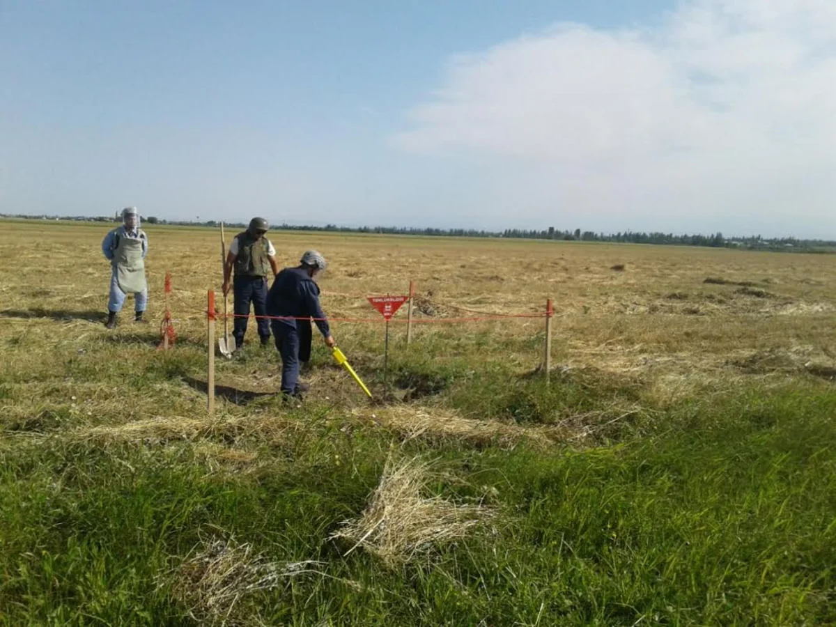 Tərtər, Füzuli rayonlarında partlamamış top və raket mərmiləri aşkarlanıb - FOTO