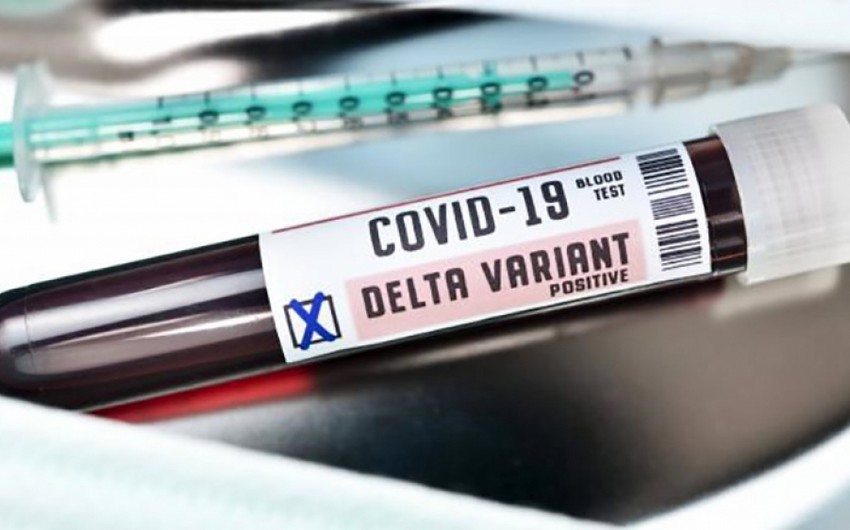 Georgia detects about 10 cases of delta plus COVID-19 variant