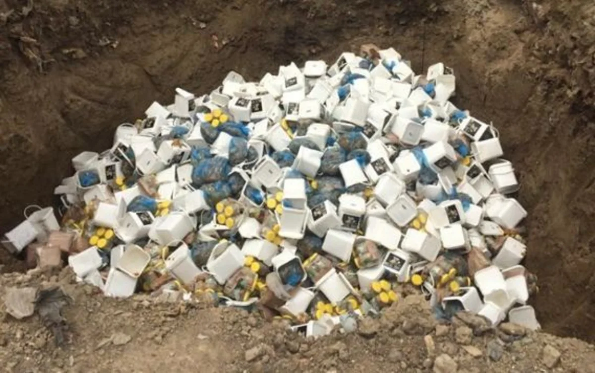 Sumqayıtda 28 tondan çox yararsız qida məhsulu məhv edilib