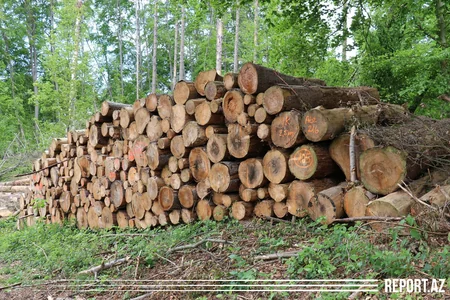 Azərbaycanlı iş adamı Almaniyada saxlanılıb - VİDEOREPORTAJ