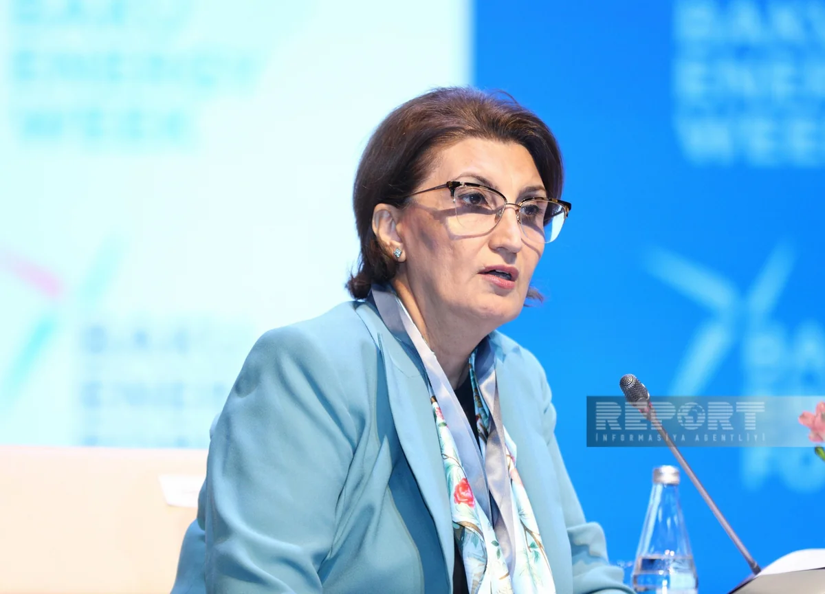 SOCAR повысил оценку запасов структуры Нахчыван