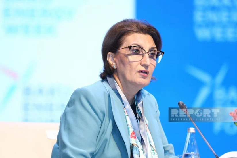 SOCAR повысил оценку запасов структуры Нахчыван