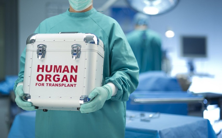 “Transplantasiya məqsədilə donor orqanların idxalı və ixracı Qaydası” təsdiqlənib