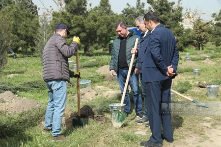 Heydər Əliyevin 100 illiyinə həsr olunan ağacəkmə aksiyası keçirilib