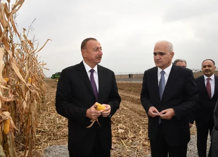 Prezident İlham Əliyev “Qarabağ Taxıl” MMC-nin özəl pilot taxılçılıq təsərrüfatının fəaliyyəti ilə tanış olub