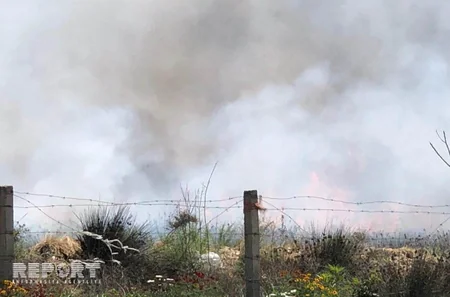 Abşeronda elektrik xəttində partlayış yanğınla nəticələnib - VİDEO - YENİLƏNİB